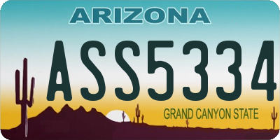 AZ license plate ASS5334
