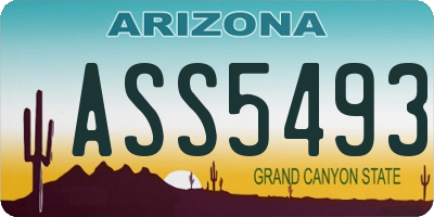 AZ license plate ASS5493