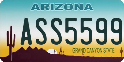 AZ license plate ASS5599