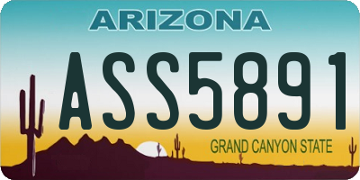 AZ license plate ASS5891