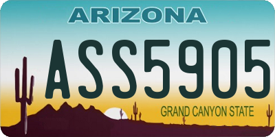 AZ license plate ASS5905