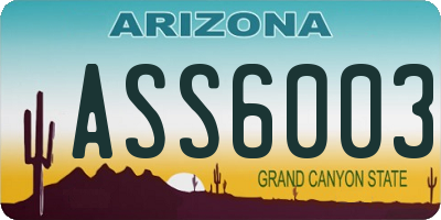 AZ license plate ASS6003