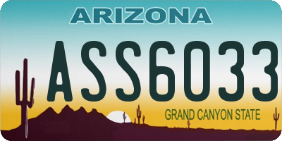 AZ license plate ASS6033