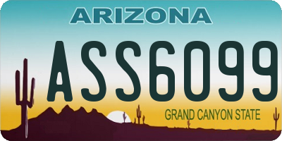 AZ license plate ASS6099