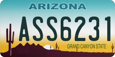 AZ license plate ASS6231