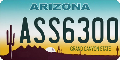 AZ license plate ASS6300