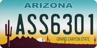 AZ license plate ASS6301