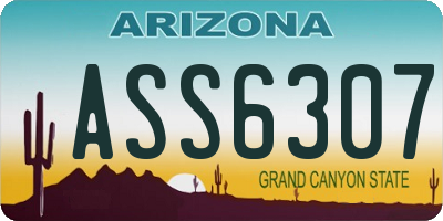 AZ license plate ASS6307