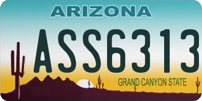 AZ license plate ASS6313