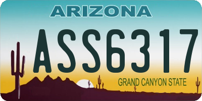 AZ license plate ASS6317