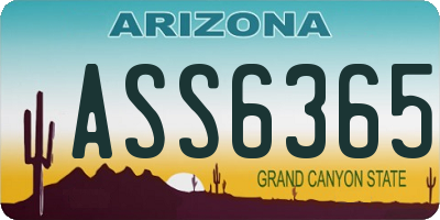 AZ license plate ASS6365