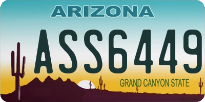 AZ license plate ASS6449