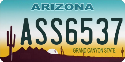 AZ license plate ASS6537