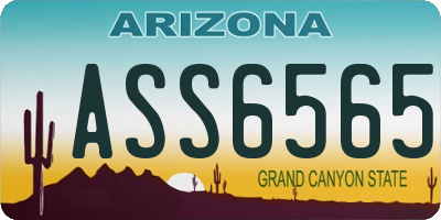AZ license plate ASS6565
