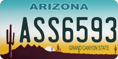 AZ license plate ASS6593