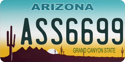 AZ license plate ASS6699