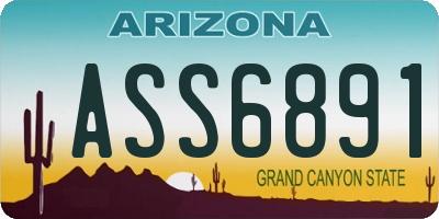 AZ license plate ASS6891