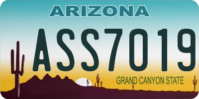 AZ license plate ASS7019