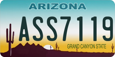 AZ license plate ASS7119