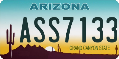 AZ license plate ASS7133