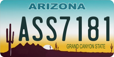 AZ license plate ASS7181
