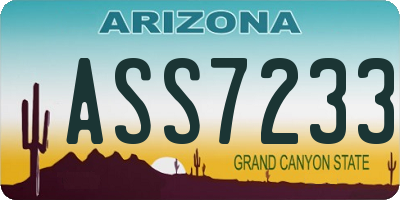AZ license plate ASS7233
