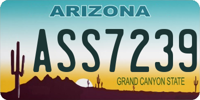 AZ license plate ASS7239