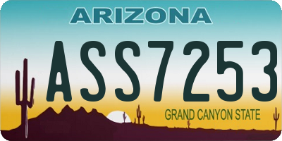 AZ license plate ASS7253