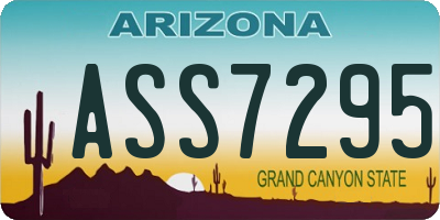 AZ license plate ASS7295