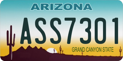 AZ license plate ASS7301