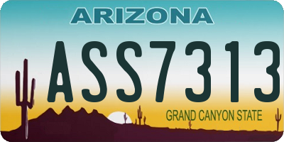 AZ license plate ASS7313