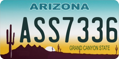 AZ license plate ASS7336