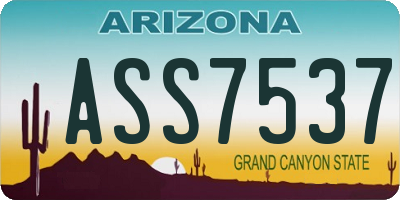 AZ license plate ASS7537