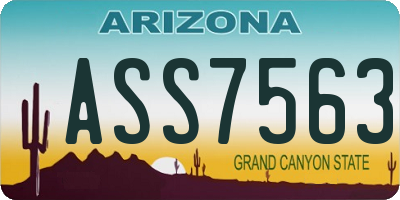 AZ license plate ASS7563