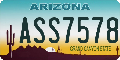 AZ license plate ASS7578