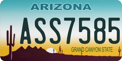 AZ license plate ASS7585
