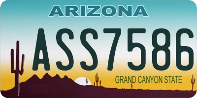 AZ license plate ASS7586
