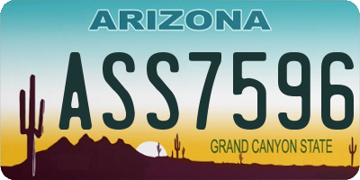 AZ license plate ASS7596