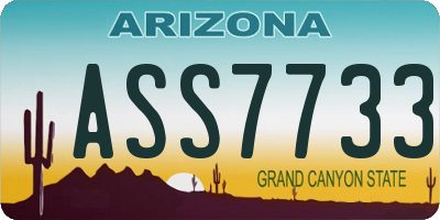 AZ license plate ASS7733