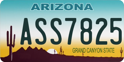 AZ license plate ASS7825