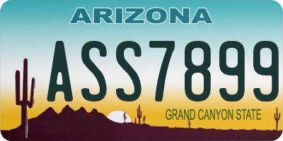 AZ license plate ASS7899