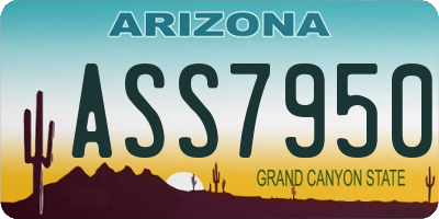AZ license plate ASS7950