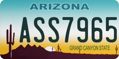 AZ license plate ASS7965