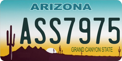 AZ license plate ASS7975