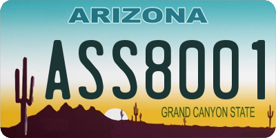 AZ license plate ASS8001