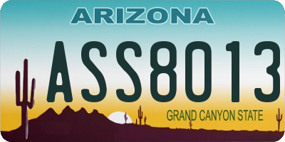 AZ license plate ASS8013