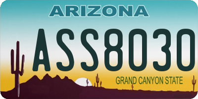 AZ license plate ASS8030