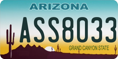 AZ license plate ASS8033