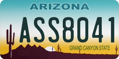 AZ license plate ASS8041