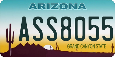 AZ license plate ASS8055